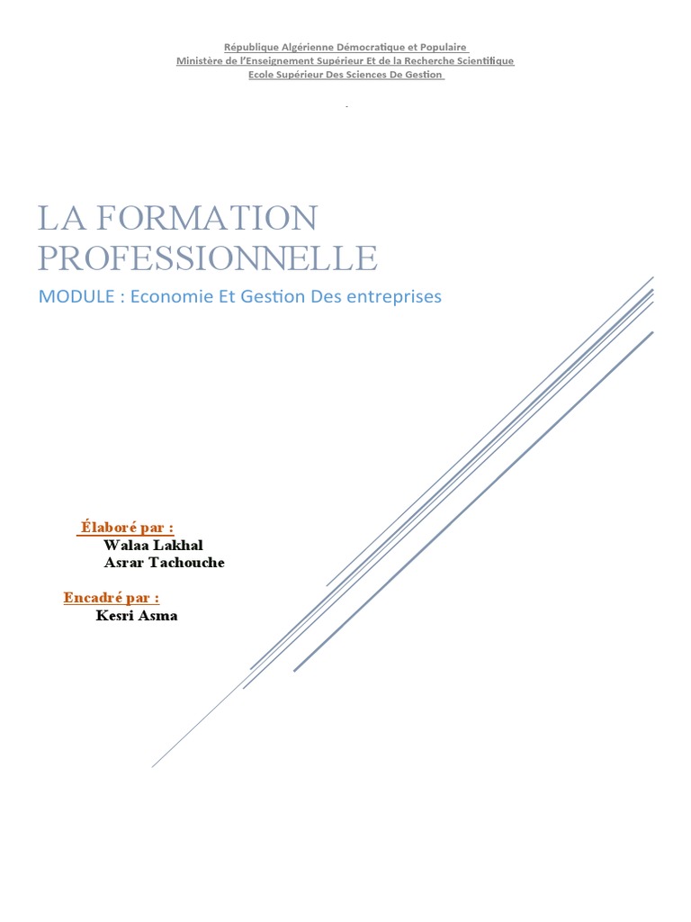 Importance de la formation professionnelle | PDF | Cours en ligne ...