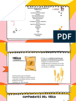 Diapositivas Del Trigo