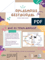 Toxoplasmosis Gestacional