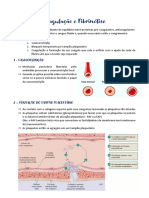 4 Coagulação e Fibrinólise