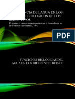 Importancia Del Agua en Los Procesos Biologicos de