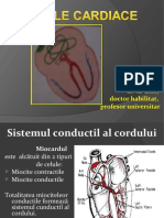 Aritmiile Final