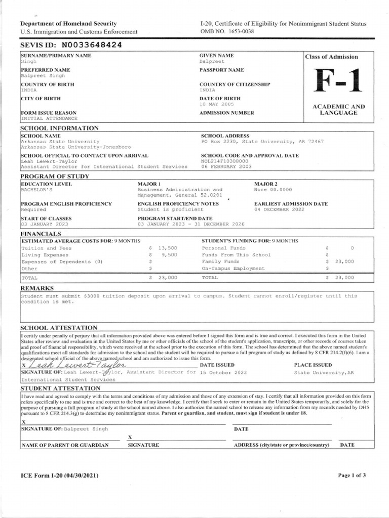 I20 Sample | PDF