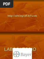 Download Laboratorio BAYER by eDWiNCiTo SN6287703 doc pdf