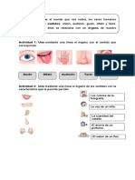 Sentidos PDF