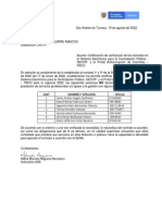 Formato Directiva 01 2022 Dirección General Agosto 2022