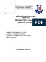 Análisis de Jurisdicción Ordinaria Ciria Saavedra Zapata