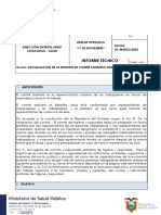 Informe Tecnico Comite Paritario 11noviembre