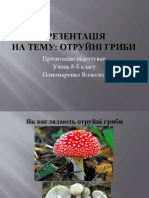 Презентація