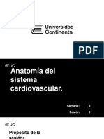 Semana 09 - Anatomía Del Sistema Cardiovascular