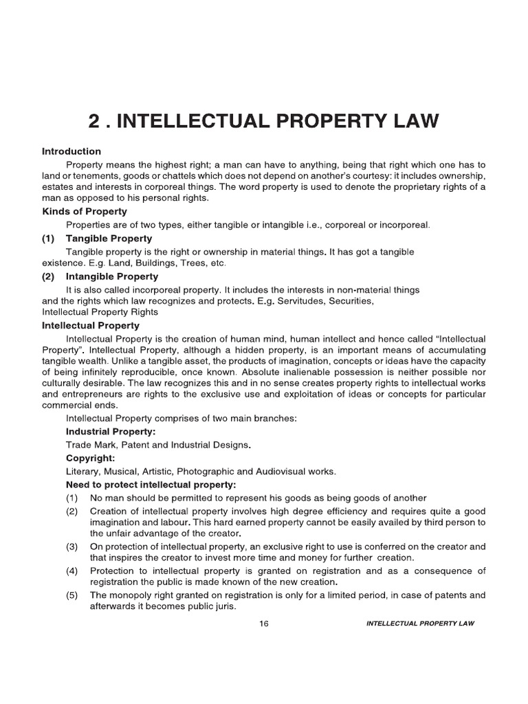 Ip Rights | PDF