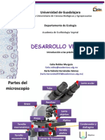 Introducción A Las Prácticas de Laboratorio