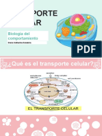 Tipos de Transporte Celular