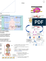 Aparelho Reprodutor Feminino