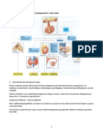 Tema 3 Psicoendo