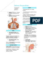 Sistema Respiratório - Aula 5