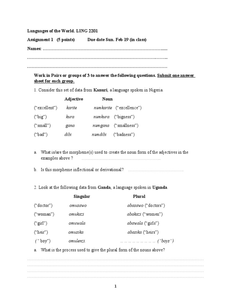 Language Morphology Assignment | PDF | Plural | Grammatical Number