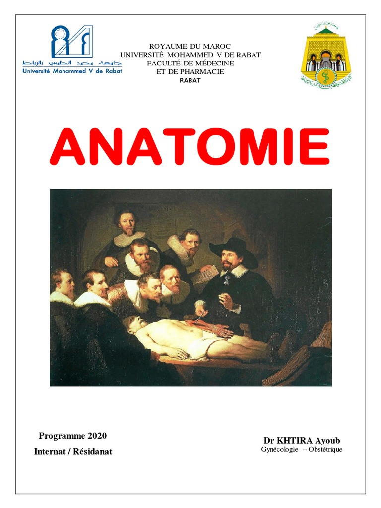 Programme Anatomie Internat Rabat 2020 | PDF | Artère carotide commune ...