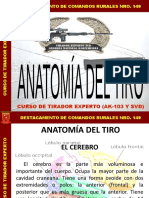 Anatomía Del Tiro