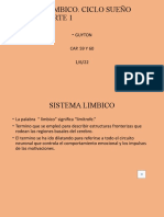 Sistema Límbico, Ciclo Vigilia Sueño. Parte 1 2022