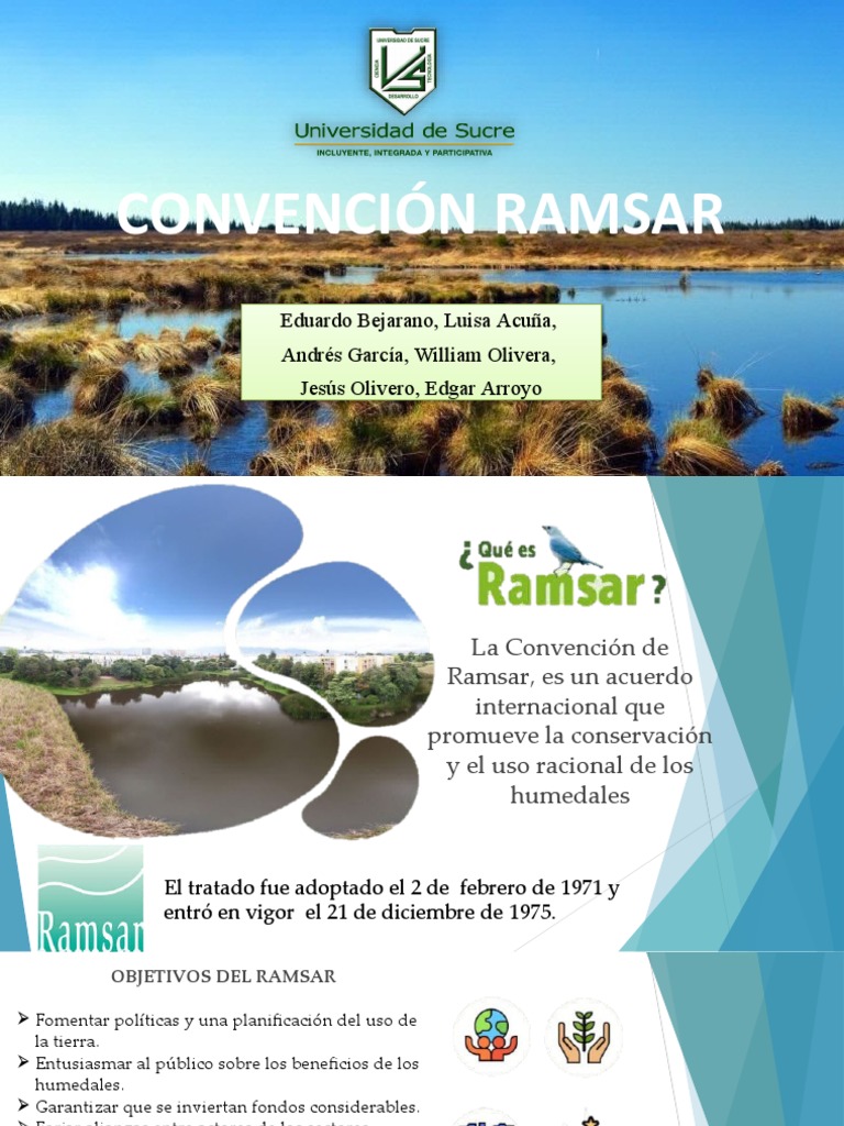 Humedales Ramsar: Conservación Global | PDF | Humedal | Colombia