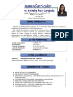 Curriculum Modelo 