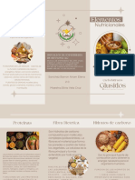 Triptico Dos PDF