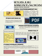 Tipos de Experimentación - JPN