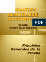 Principios Generales de La Prueba