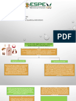 El Musculo Como Glandula Endocrino