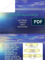 Microbiologia Power