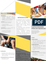 Folleto Brochure de Servicios Empresa Profesional Amarillo