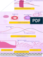 Fluctuaciones de Las Principales Hormonas Femeninas Durante El Ciclo Menstrual.