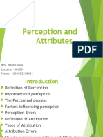 Perception and Attributes