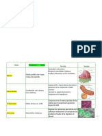 Partes de La Celula