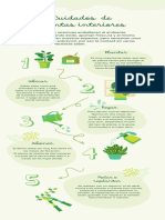 Cuidados plantas interiores paso a paso