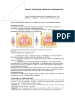 1º RESPIRACIÓN Trabajo