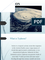 Typhoon