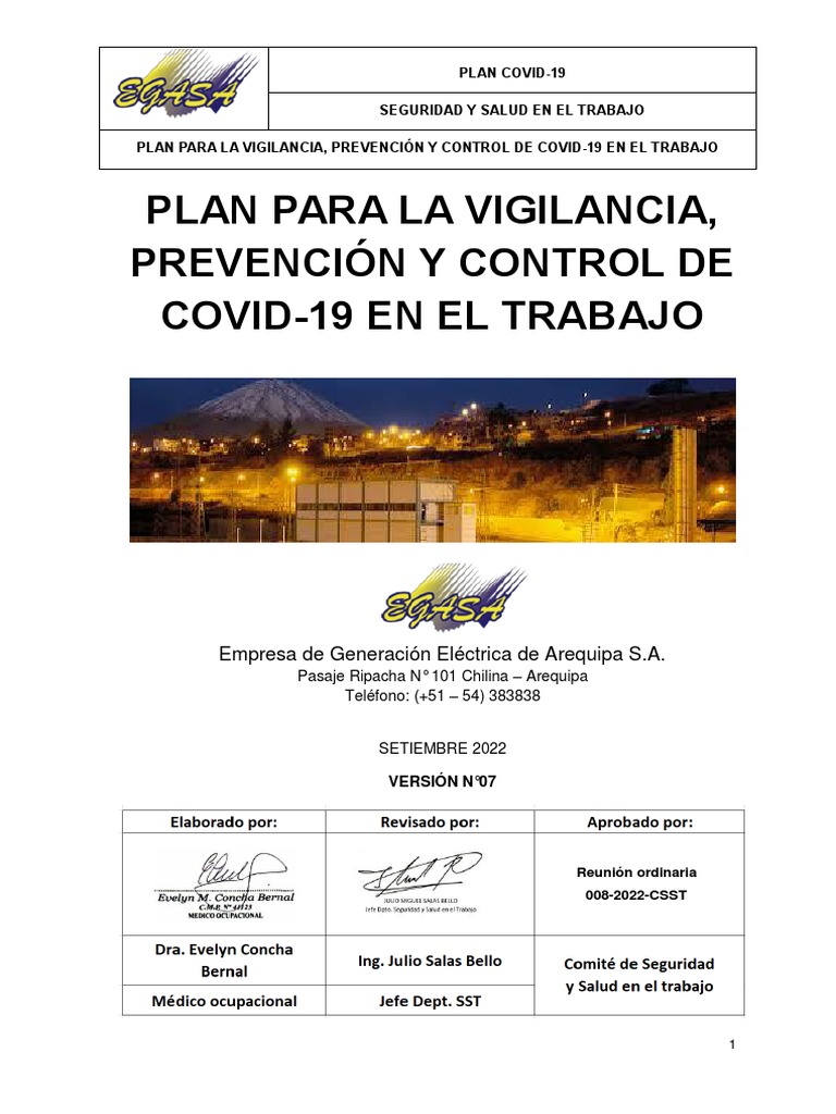 03 Plan y Protocolos Covid19 EGASA | PDF | Lavado de manos | Seguridad ...