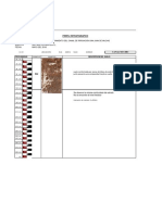 Perfiles Estratigraficos