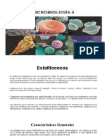 Estafilococos Tema 2, Microbiologia II