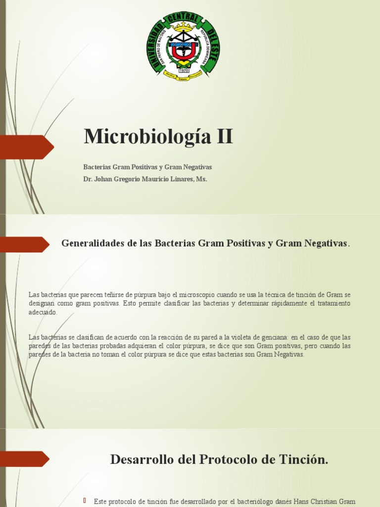 Bacterias Gram Positivas y Negativas | PDF | Las bacterias | Bacterias ...