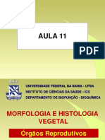 Morfologia & Histologia Vegetal