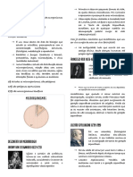 Histórico da microbiologia e descobertas fundamentais