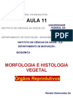 Morfologia & Histologia Vegetal