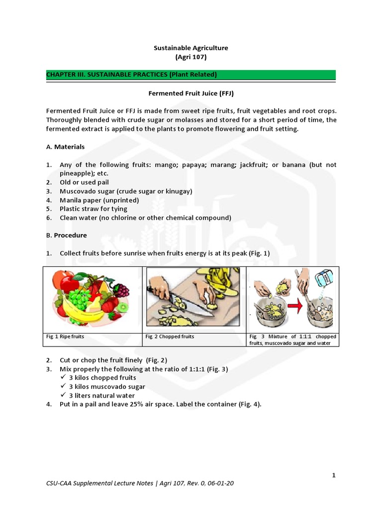 15 Fermented Fruit Juice PDF Fruit Sugar