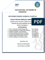 Informe Habeas Corpus UNAH