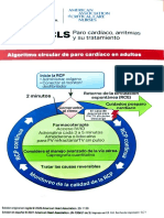 Algoritmo de Paro Cardiaco en Adultos