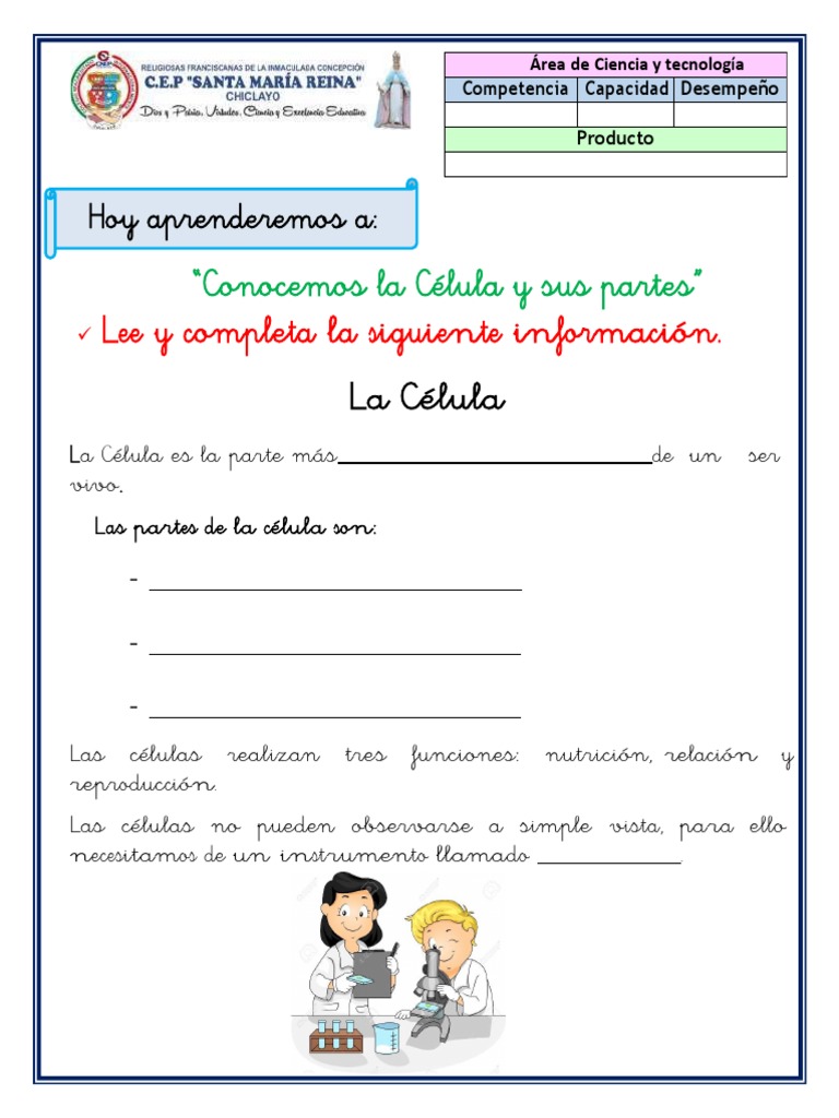 Ficha de Ciencia y Tecnologia - Sesion N 01 | PDF