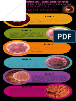 Infografia Desarrollo Embriologico
